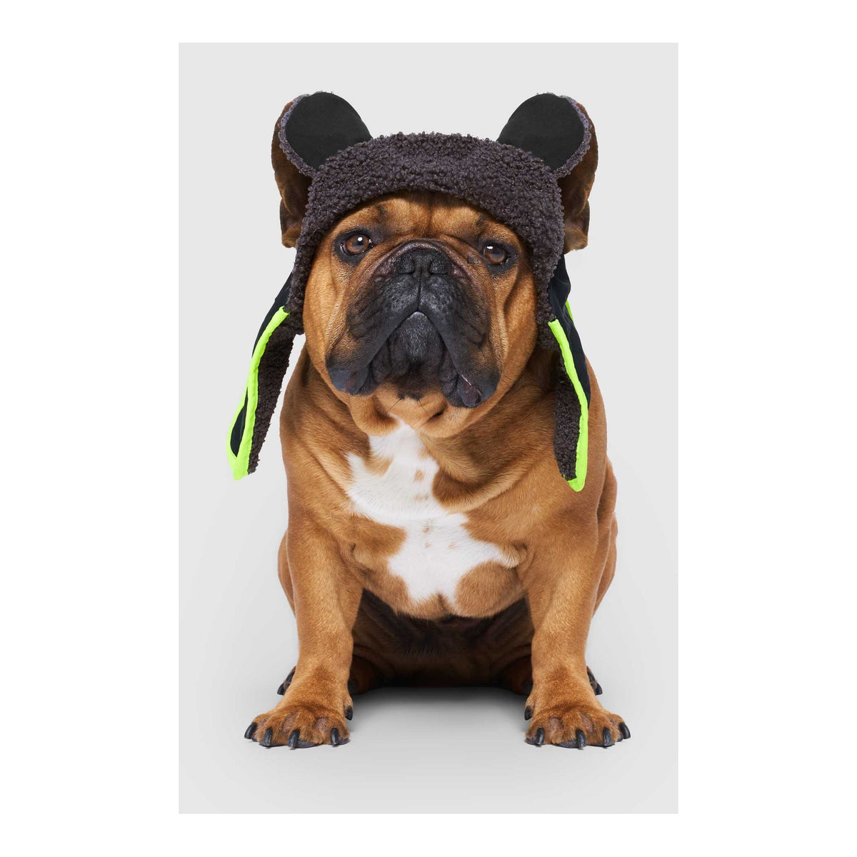 Canada Pooch Cool Factor Aviator Hat｜狗狗服飾｜加拿大直送 主產品圖