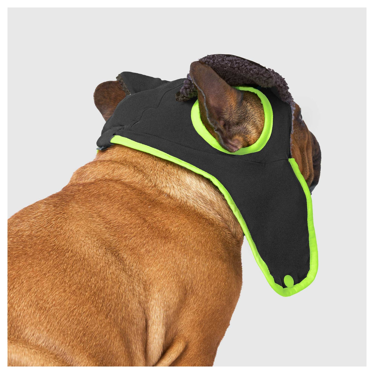 Canada Pooch Cool Factor Aviator Hat｜狗狗服飾｜加拿大直送 產品細節圖 2