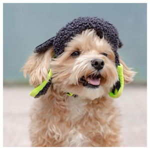 Canada Pooch Cool Factor Aviator Hat｜狗狗服飾｜加拿大直送-狗-毛孩物語Pets Thing｜香港寵物貓狗用品專門店：IATA寵物飛機籠、寵物手推車、貓爬架貓樹