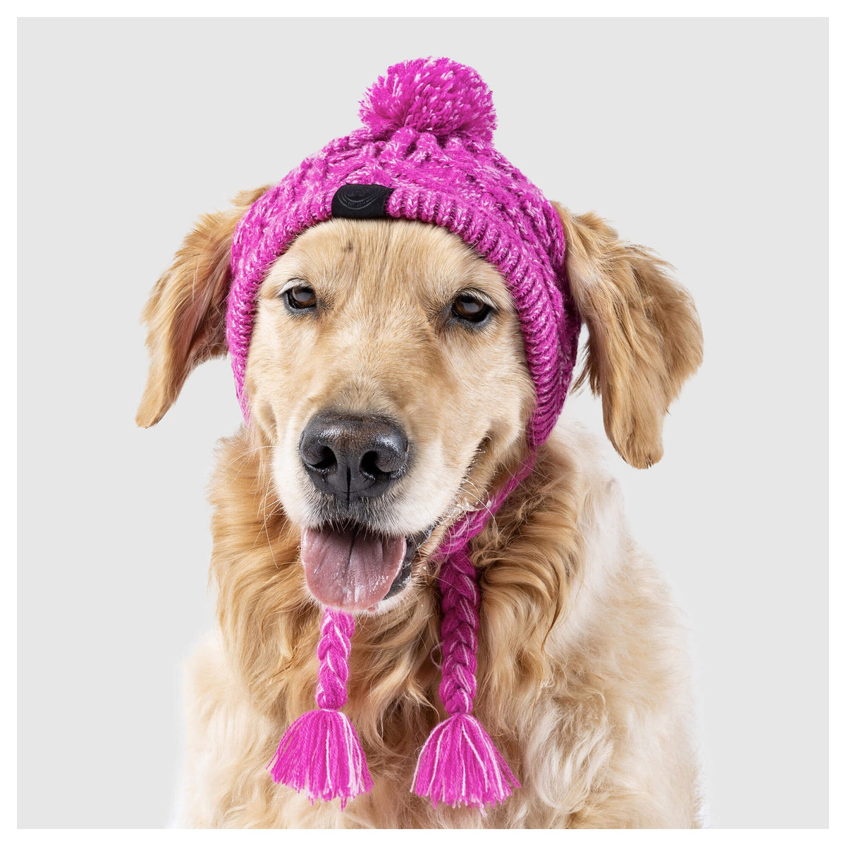 Canada Pooch Polar Pom Pom Hat｜狗狗服飾｜加拿大直送-狗-毛孩物語Pets Thing｜香港寵物貓狗用品專門店：IATA寵物飛機籠、寵物手推車、貓爬架貓樹