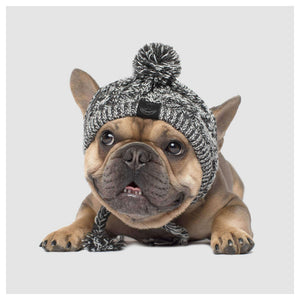 Canada Pooch Polar Pom Pom Hat｜狗狗服飾｜加拿大直送-狗-毛孩物語Pets Thing｜香港寵物貓狗用品專門店：IATA寵物飛機籠、寵物手推車、貓爬架貓樹