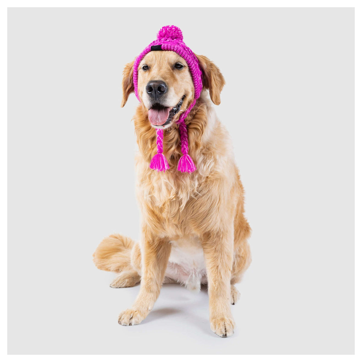 Canada Pooch Polar Pom Pom Hat｜狗狗服飾｜加拿大直送-狗-毛孩物語Pets Thing｜香港寵物貓狗用品專門店：IATA寵物飛機籠、寵物手推車、貓爬架貓樹