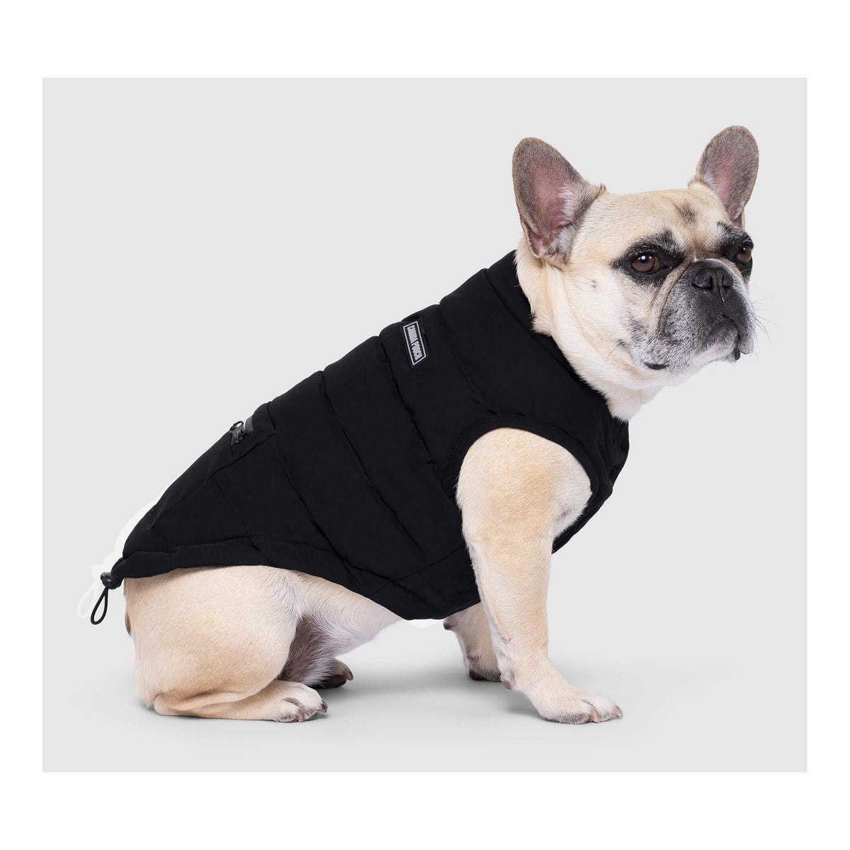 Canada Pooch Ultimate Stretch Vest｜狗狗服飾｜加拿大直送-狗-毛孩物語Pets Thing｜香港寵物貓狗用品專門店：IATA寵物飛機籠、寵物手推車、貓爬架貓樹