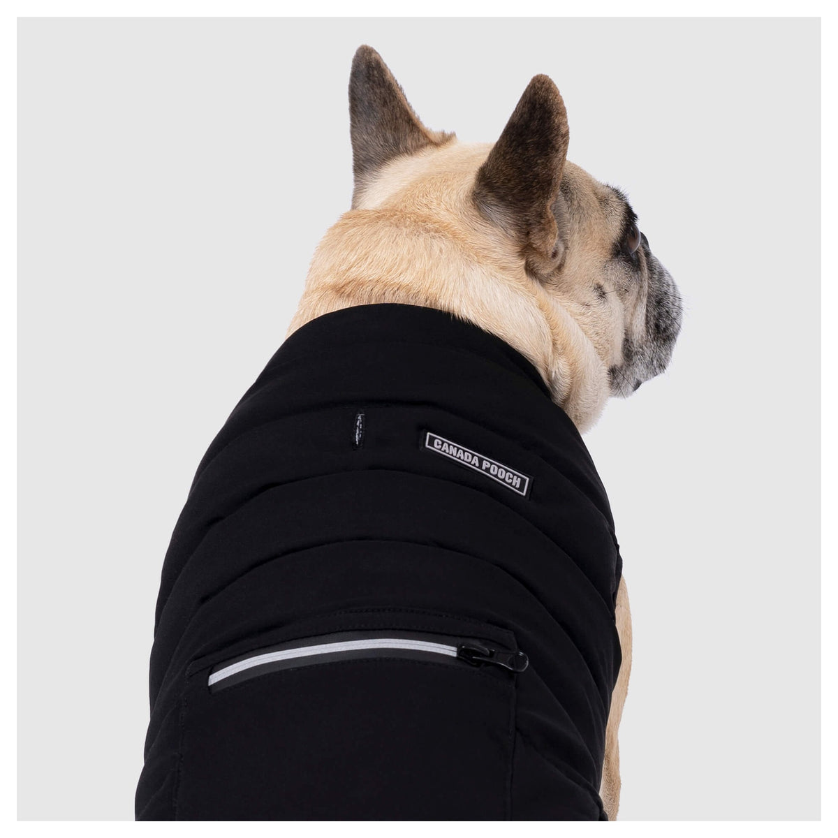 Canada Pooch Ultimate Stretch Vest｜狗狗服飾｜加拿大直送-狗-毛孩物語Pets Thing｜香港寵物貓狗用品專門店：IATA寵物飛機籠、寵物手推車、貓爬架貓樹