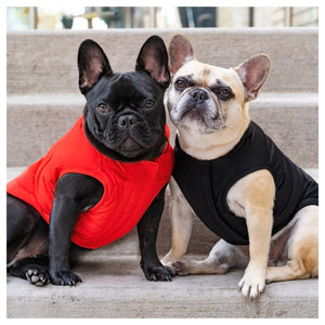 Canada Pooch Ultimate Stretch Vest｜狗狗服飾｜加拿大直送-狗-毛孩物語Pets Thing｜香港寵物貓狗用品專門店：IATA寵物飛機籠、寵物手推車、貓爬架貓樹