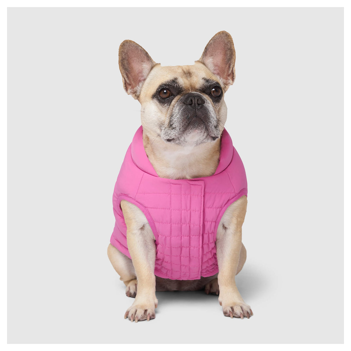 Canada Pooch Ultimate Stretch Vest｜狗狗服飾｜加拿大直送-狗-毛孩物語Pets Thing｜香港寵物貓狗用品專門店：IATA寵物飛機籠、寵物手推車、貓爬架貓樹