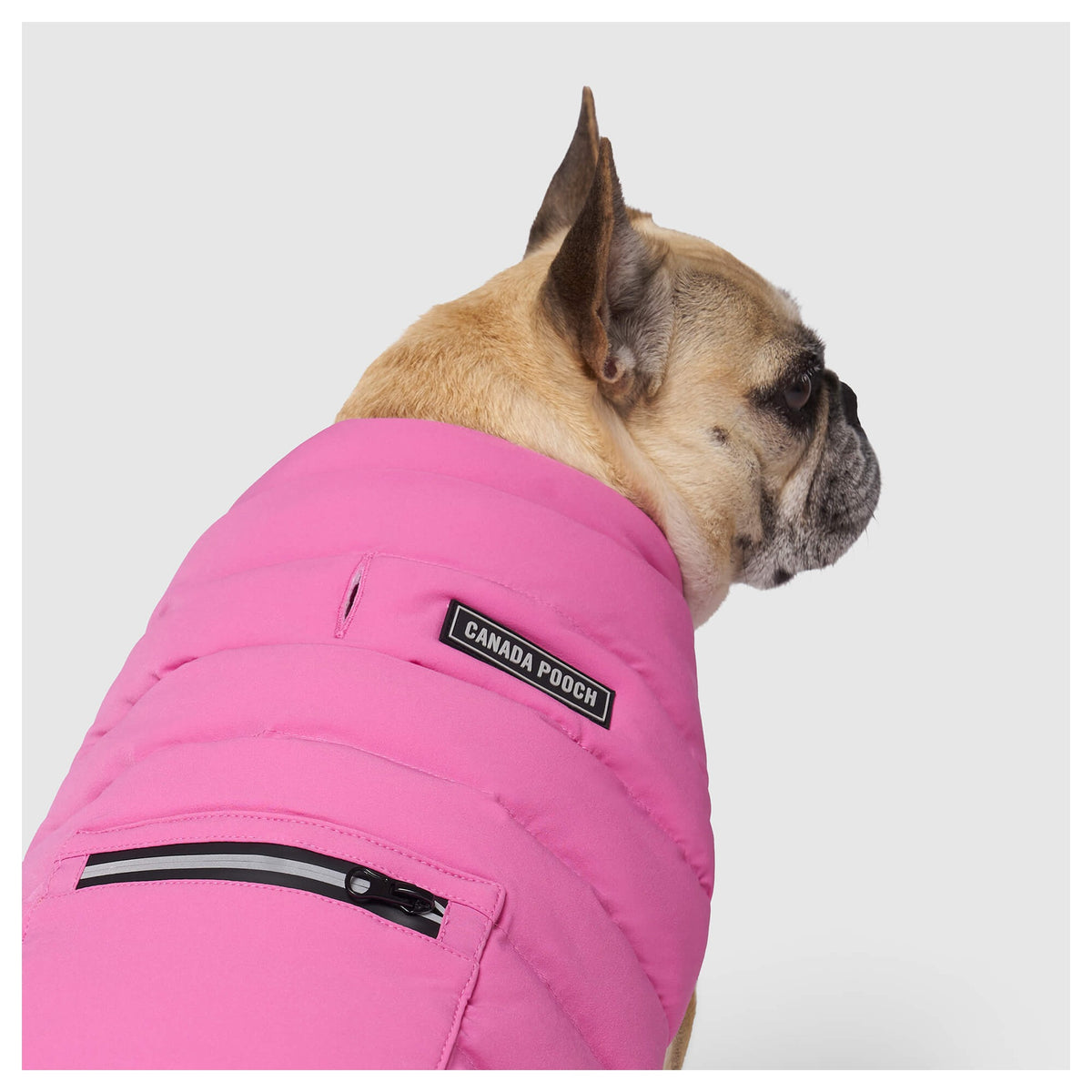 Canada Pooch Ultimate Stretch Vest｜狗狗服飾｜加拿大直送-狗-毛孩物語Pets Thing｜香港寵物貓狗用品專門店：IATA寵物飛機籠、寵物手推車、貓爬架貓樹