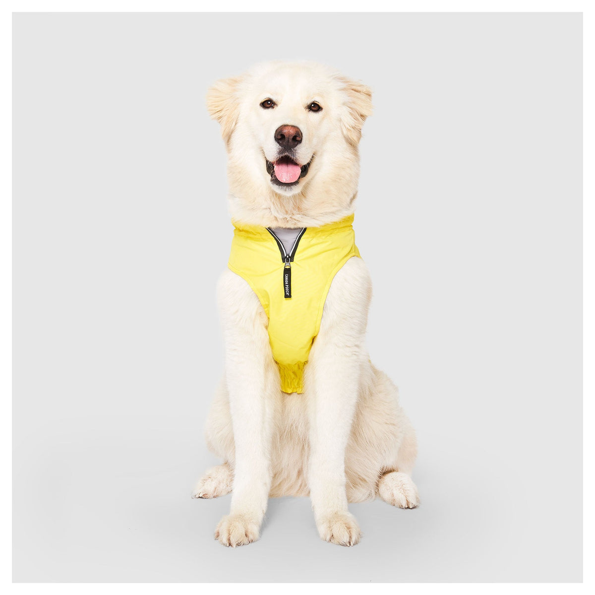 Canada Pooch Grow-With-Me Raincoat｜狗狗雨具｜加拿大直送 產品細節圖 2