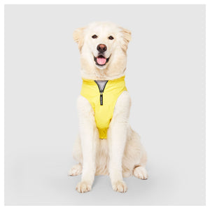 Canada Pooch Grow-With-Me Raincoat｜狗狗雨具｜加拿大直送-狗-毛孩物語Pets Thing｜香港寵物貓狗用品專門店：IATA寵物飛機籠、寵物手推車、貓爬架貓樹