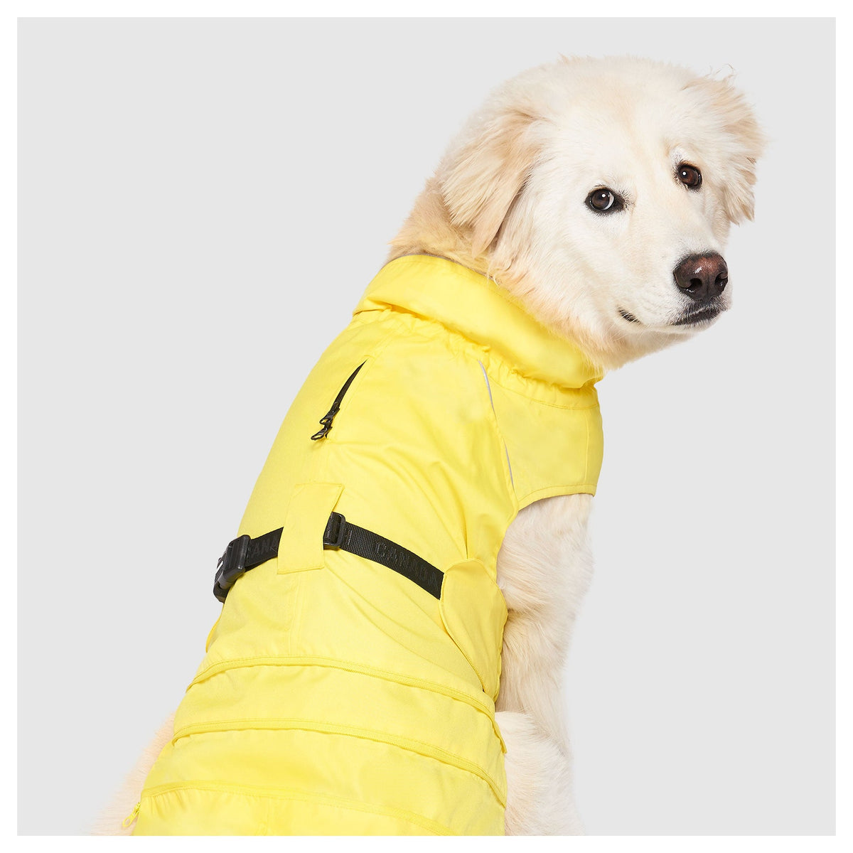Canada Pooch Grow-With-Me Raincoat｜狗狗雨具｜加拿大直送-狗-毛孩物語Pets Thing｜香港寵物貓狗用品專門店：IATA寵物飛機籠、寵物手推車、貓爬架貓樹