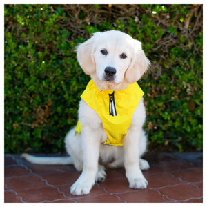 Canada Pooch Grow-With-Me Raincoat｜狗狗雨具｜加拿大直送-狗-毛孩物語Pets Thing｜香港寵物貓狗用品專門店：IATA寵物飛機籠、寵物手推車、貓爬架貓樹