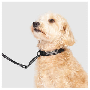 Canada Pooch Utility Collar｜狗狗頸圈｜加拿大直送-寵物頸圈-毛孩物語Pets Thing｜香港寵物貓狗用品專門店：IATA寵物飛機籠、寵物手推車、貓爬架貓樹