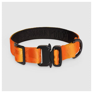 Canada Pooch Utility Collar｜狗狗頸圈｜加拿大直送-寵物頸圈-毛孩物語Pets Thing｜香港寵物貓狗用品專門店：IATA寵物飛機籠、寵物手推車、貓爬架貓樹
