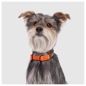 Canada Pooch Utility Collar｜狗狗頸圈｜加拿大直送-寵物頸圈-毛孩物語Pets Thing｜香港寵物貓狗用品專門店：IATA寵物飛機籠、寵物手推車、貓爬架貓樹