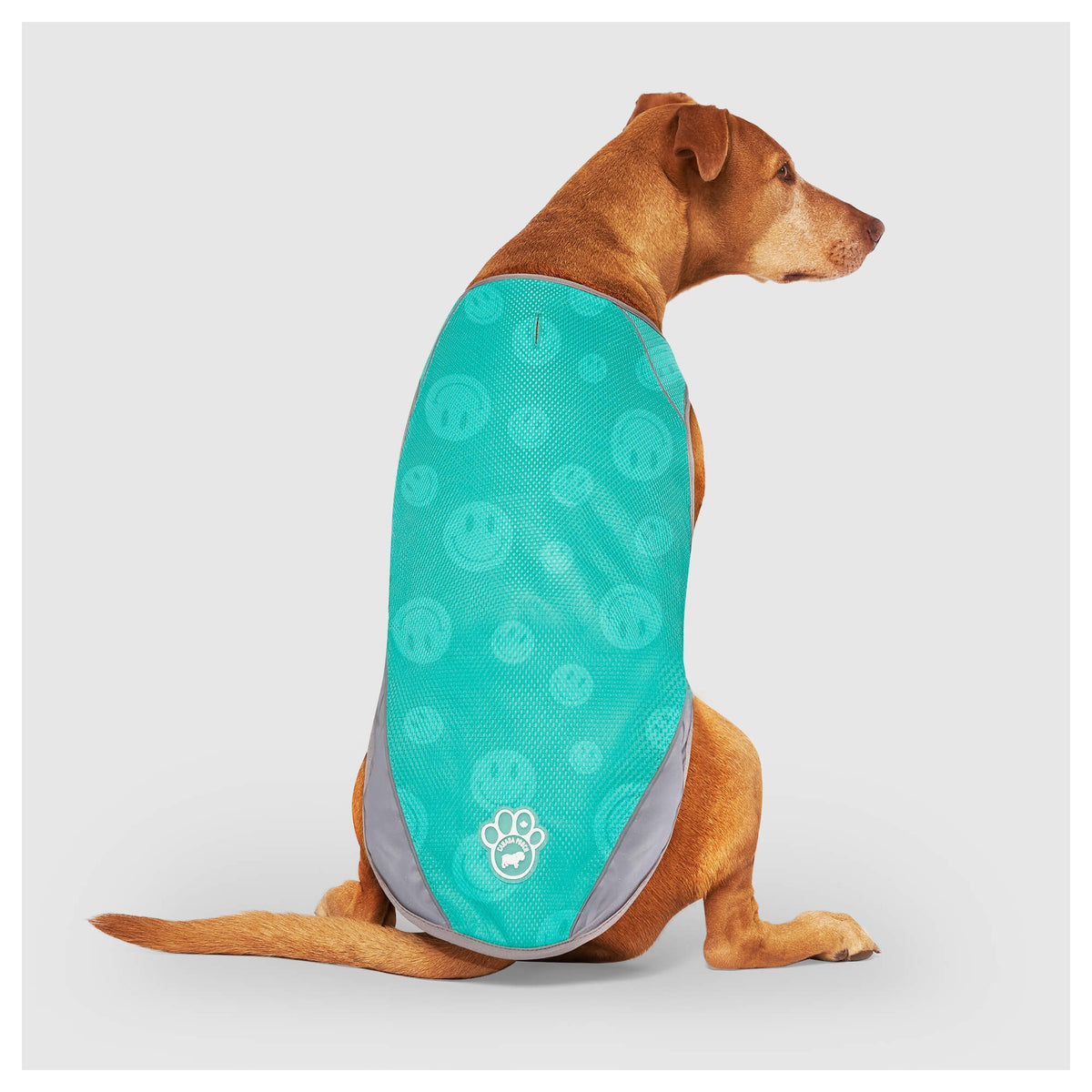 Canada Pooch Chill Seeker Cooling Vest Wet Reveal｜狗狗服飾｜加拿大直送-狗-毛孩物語Pets Thing｜香港寵物貓狗用品專門店：IATA寵物飛機籠、寵物手推車、貓爬架貓樹