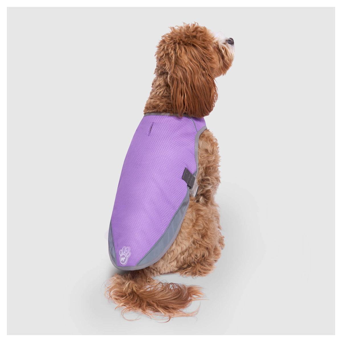 Canada Pooch Chill Seeker Cooling Vest Wet Reveal｜狗狗服飾｜加拿大直送-狗-毛孩物語Pets Thing｜香港寵物貓狗用品專門店：IATA寵物飛機籠、寵物手推車、貓爬架貓樹