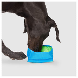 Canada Pooch Chill Seeker Freeze-And-Go Water Bowl｜狗狗出街用品｜加拿大直送-狗-毛孩物語Pets Thing｜香港寵物貓狗用品專門店：IATA寵物飛機籠、寵物手推車、貓爬架貓樹