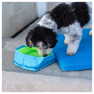Canada Pooch Chill Seeker Freeze-And-Go Water Bowl｜狗狗出街用品｜加拿大直送-狗-毛孩物語Pets Thing｜香港寵物貓狗用品專門店：IATA寵物飛機籠、寵物手推車、貓爬架貓樹