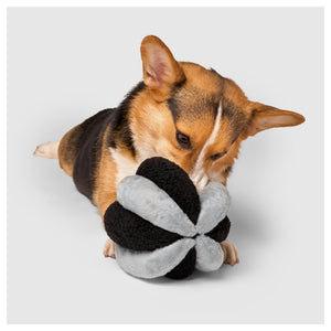 Canada Pooch Snuffle Ball Toy｜狗狗玩具｜加拿大直送-狗-毛孩物語Pets Thing｜香港寵物貓狗用品專門店：IATA寵物飛機籠、寵物手推車、貓爬架貓樹