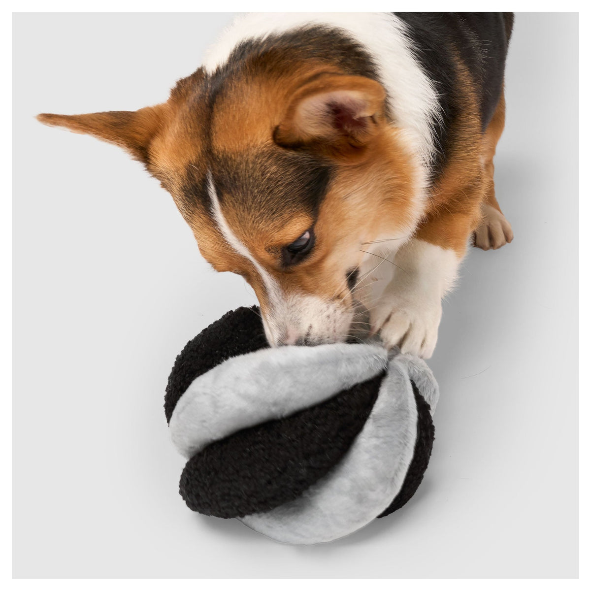 Canada Pooch Snuffle Ball Toy｜狗狗玩具｜加拿大直送-狗-毛孩物語Pets Thing｜香港寵物貓狗用品專門店：IATA寵物飛機籠、寵物手推車、貓爬架貓樹