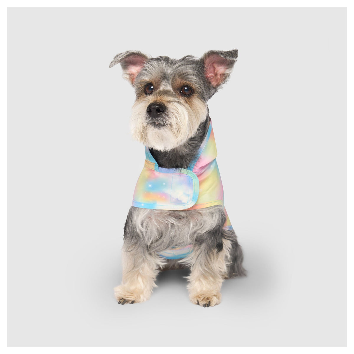 Canada Pooch Pick Me Poncho｜狗狗雨具｜加拿大直送-狗-毛孩物語Pets Thing｜香港寵物貓狗用品專門店：IATA寵物飛機籠、寵物手推車、貓爬架貓樹