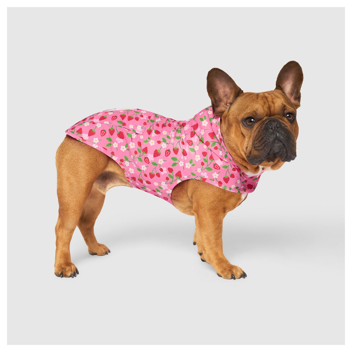 Canada Pooch Pick Me Poncho｜狗狗雨具｜加拿大直送-狗-毛孩物語Pets Thing｜香港寵物貓狗用品專門店：IATA寵物飛機籠、寵物手推車、貓爬架貓樹