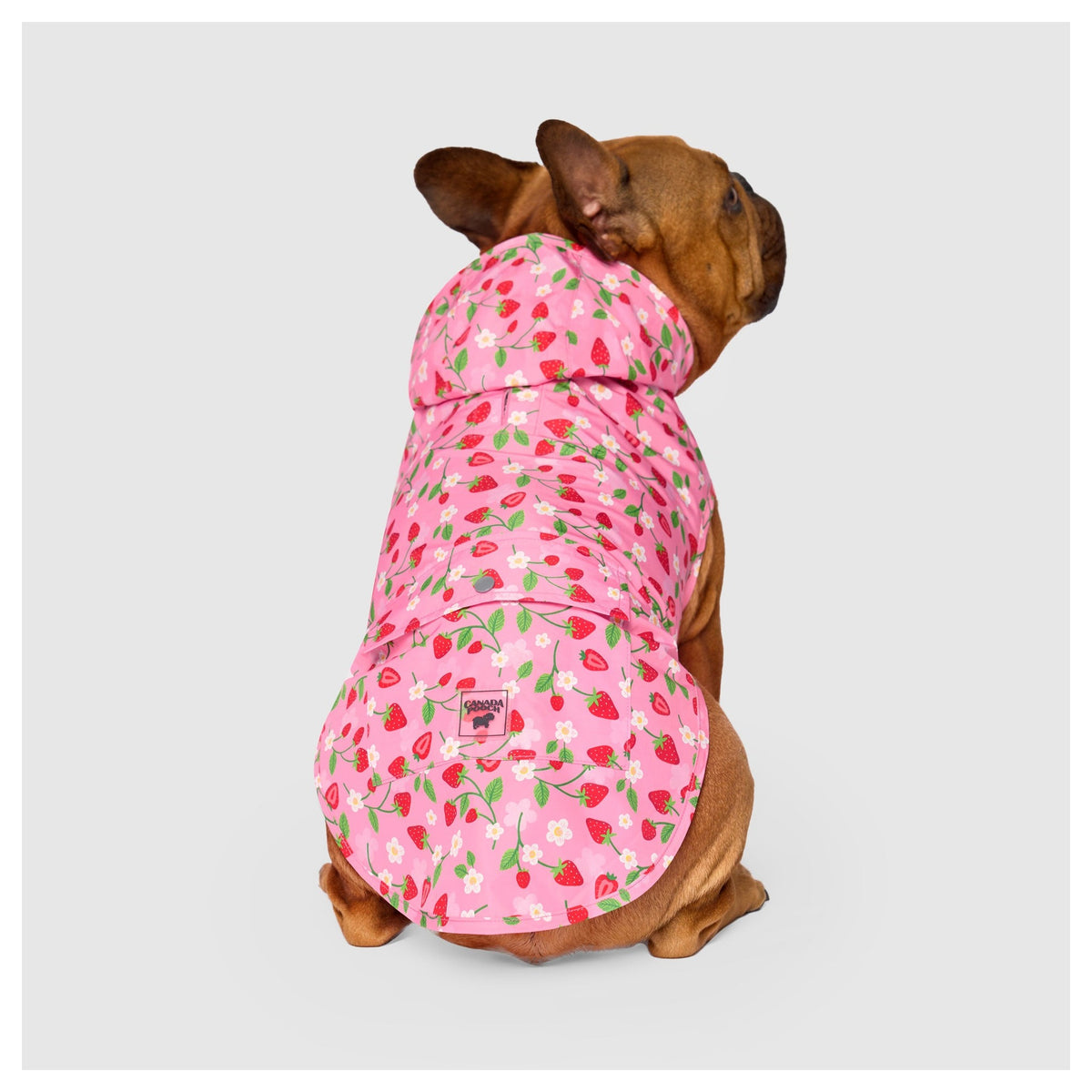 Canada Pooch Pick Me Poncho｜狗狗雨具｜加拿大直送-狗-毛孩物語Pets Thing｜香港寵物貓狗用品專門店：IATA寵物飛機籠、寵物手推車、貓爬架貓樹