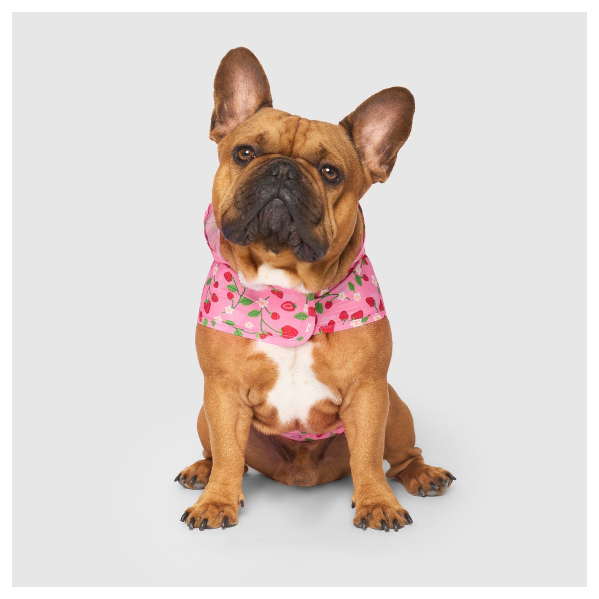 Canada Pooch Pick Me Poncho｜狗狗雨具｜加拿大直送-狗-毛孩物語Pets Thing｜香港寵物貓狗用品專門店：IATA寵物飛機籠、寵物手推車、貓爬架貓樹