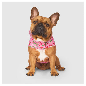 Canada Pooch Pick Me Poncho｜狗狗雨具｜加拿大直送-狗-毛孩物語Pets Thing｜香港寵物貓狗用品專門店：IATA寵物飛機籠、寵物手推車、貓爬架貓樹