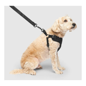 Canada Pooch Easy-On Step-In Harness｜狗狗胸帶及戶外用品｜加拿大直送-寵物胸背帶-毛孩物語Pets Thing｜香港寵物貓狗用品專門店：IATA寵物飛機籠、寵物手推車、貓爬架貓樹