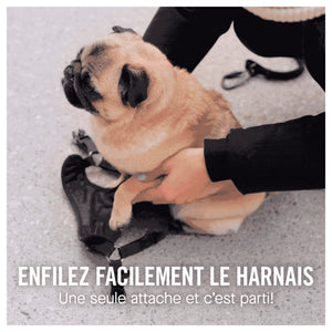 Canada Pooch Easy-On Step-In Harness｜狗狗胸帶及戶外用品｜加拿大直送-寵物胸背帶-毛孩物語Pets Thing｜香港寵物貓狗用品專門店：IATA寵物飛機籠、寵物手推車、貓爬架貓樹