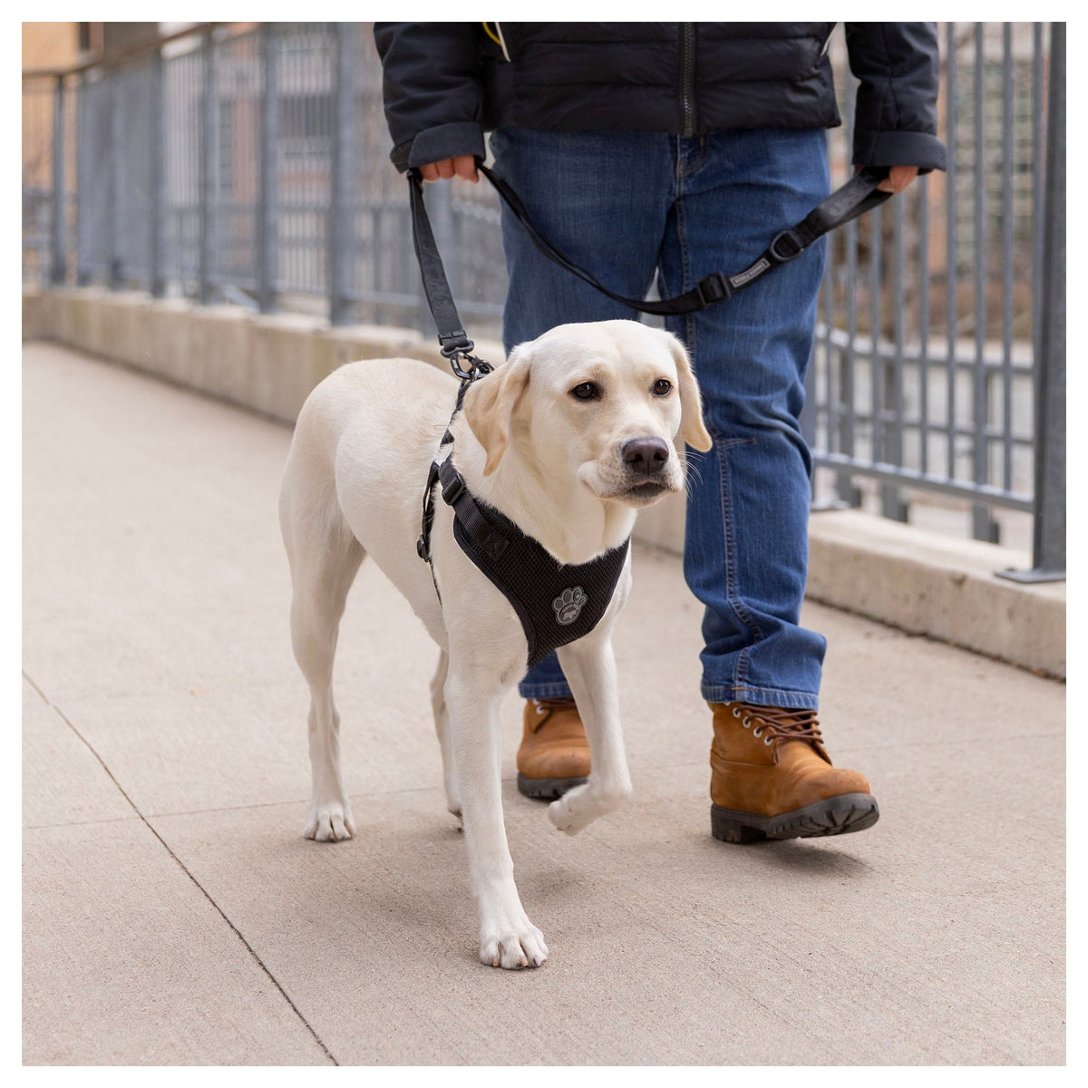 Canada Pooch Easy-On Step-In Harness｜狗狗胸帶及戶外用品｜加拿大直送-寵物胸背帶-毛孩物語Pets Thing｜香港寵物貓狗用品專門店：IATA寵物飛機籠、寵物手推車、貓爬架貓樹