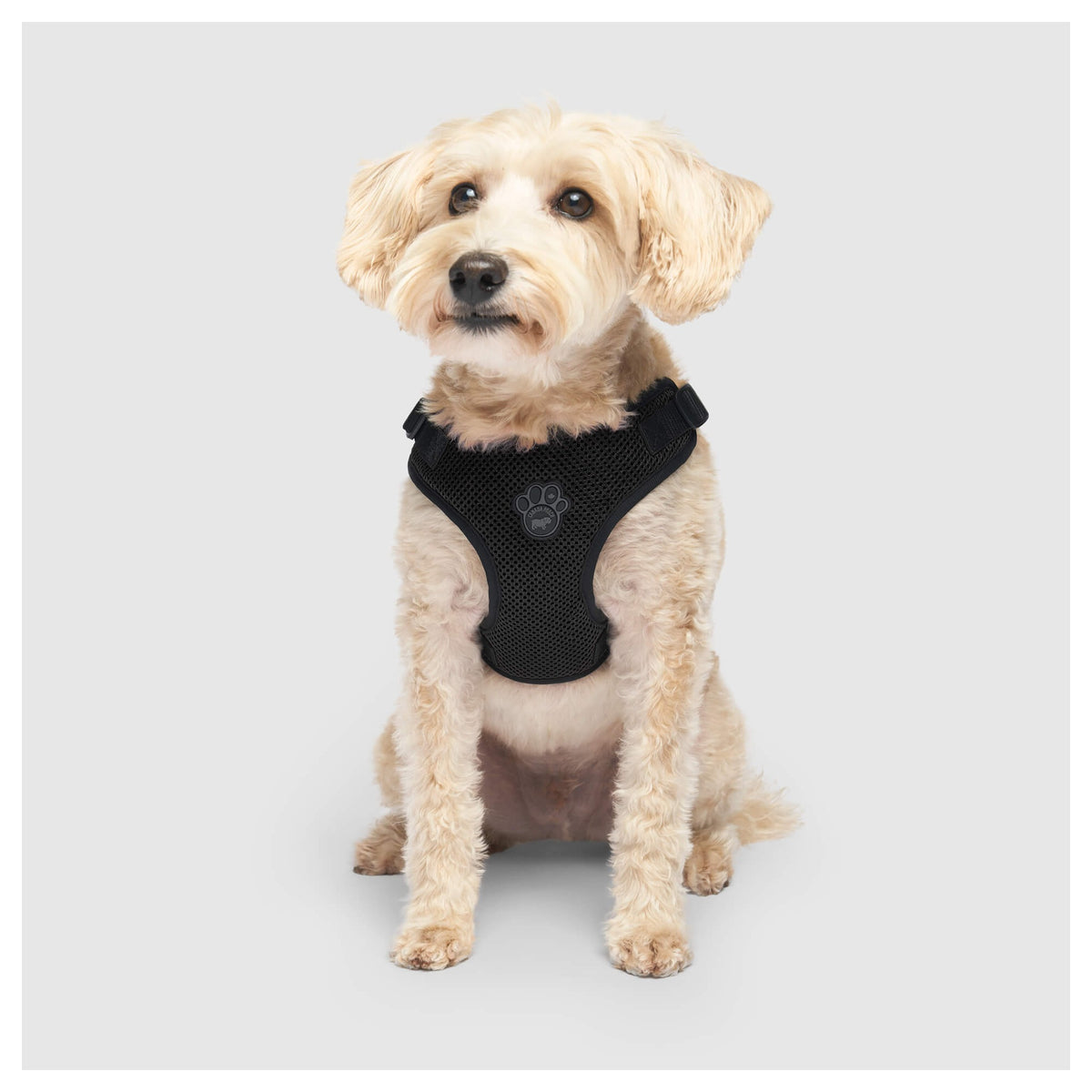 Canada Pooch Easy-On Step-In Harness｜狗狗胸帶及戶外用品｜加拿大直送-寵物胸背帶-毛孩物語Pets Thing｜香港寵物貓狗用品專門店：IATA寵物飛機籠、寵物手推車、貓爬架貓樹
