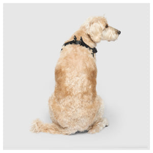 Canada Pooch Easy-On Step-In Harness｜狗狗胸帶及戶外用品｜加拿大直送-寵物胸背帶-毛孩物語Pets Thing｜香港寵物貓狗用品專門店：IATA寵物飛機籠、寵物手推車、貓爬架貓樹