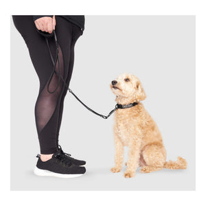 Canada Pooch Utility Leash｜狗帶｜加拿大直送-寵物牽引繩-毛孩物語Pets Thing｜香港寵物貓狗用品專門店：IATA寵物飛機籠、寵物手推車、貓爬架貓樹