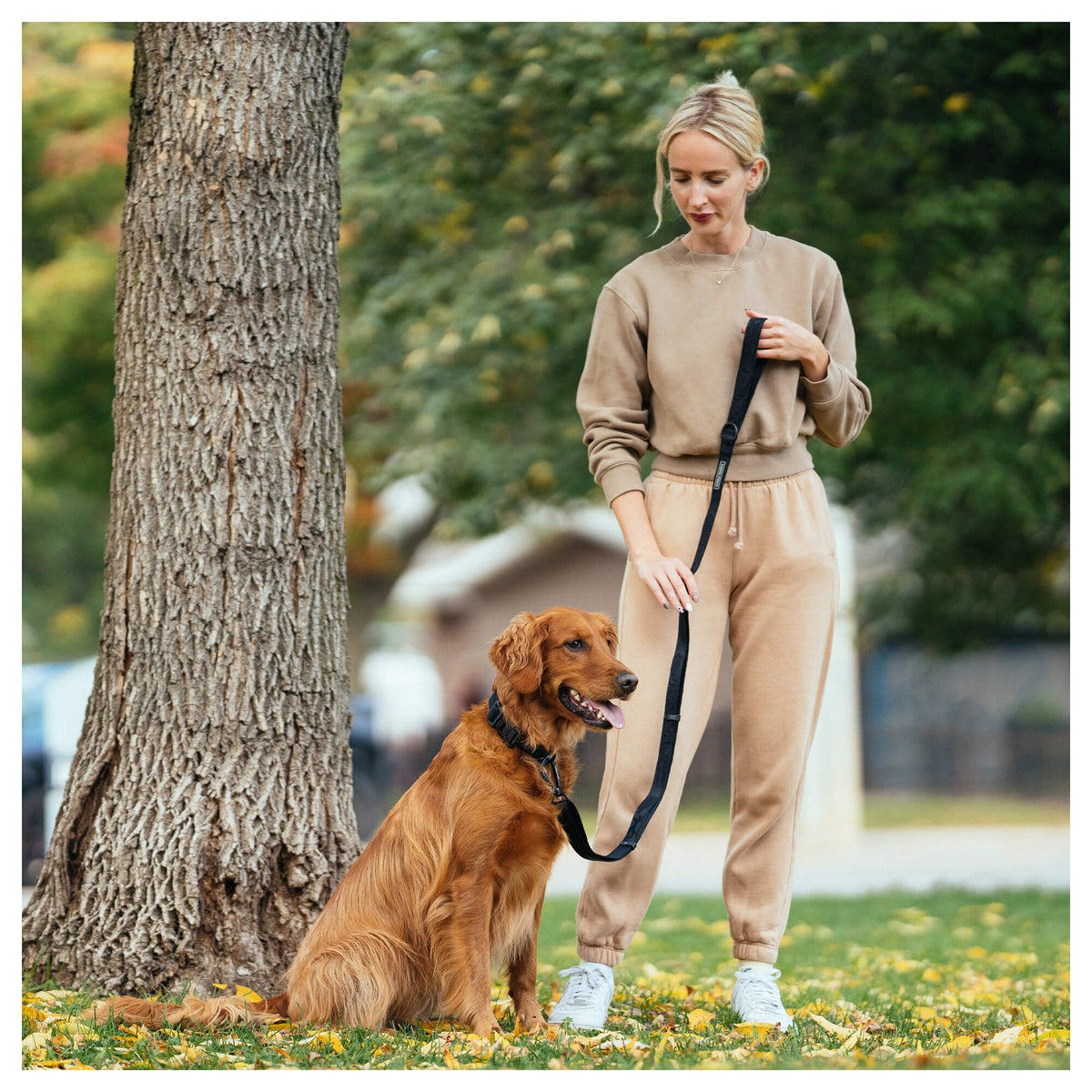 Canada Pooch Utility Leash｜狗帶｜加拿大直送-寵物牽引繩-毛孩物語Pets Thing｜香港寵物貓狗用品專門店：IATA寵物飛機籠、寵物手推車、貓爬架貓樹