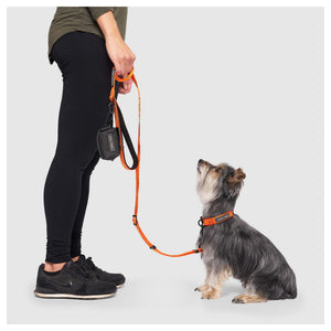 Canada Pooch Utility Leash｜狗帶｜加拿大直送-寵物牽引繩-毛孩物語Pets Thing｜香港寵物貓狗用品專門店：IATA寵物飛機籠、寵物手推車、貓爬架貓樹