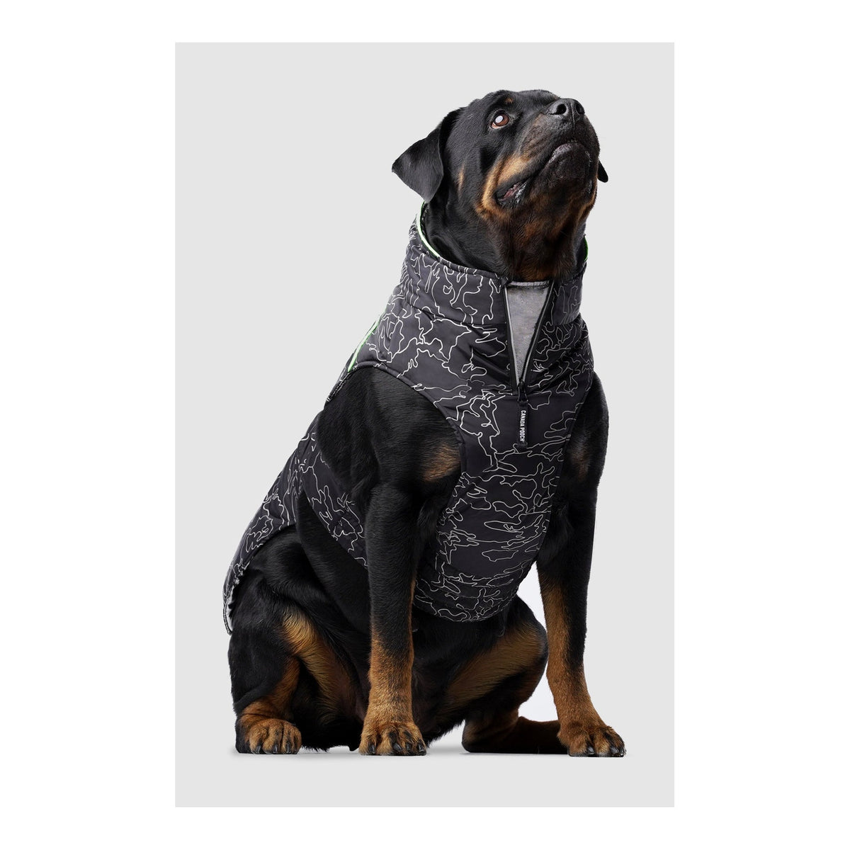 Canada Pooch Expedition Coat 2.0｜狗狗服飾｜加拿大直送-狗-毛孩物語Pets Thing｜香港寵物貓狗用品專門店：IATA寵物飛機籠、寵物手推車、貓爬架貓樹