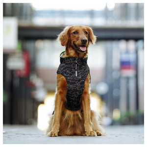 Canada Pooch Expedition Coat 2.0｜狗狗服飾｜加拿大直送-狗-毛孩物語Pets Thing｜香港寵物貓狗用品專門店：IATA寵物飛機籠、寵物手推車、貓爬架貓樹