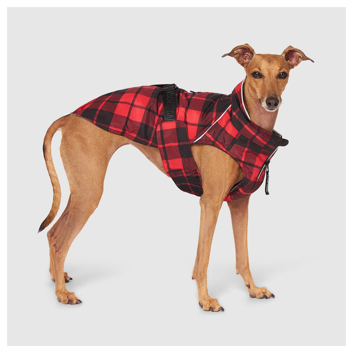 Canada Pooch Expedition Coat 2.0｜狗狗服飾｜加拿大直送-狗-毛孩物語Pets Thing｜香港寵物貓狗用品專門店：IATA寵物飛機籠、寵物手推車、貓爬架貓樹