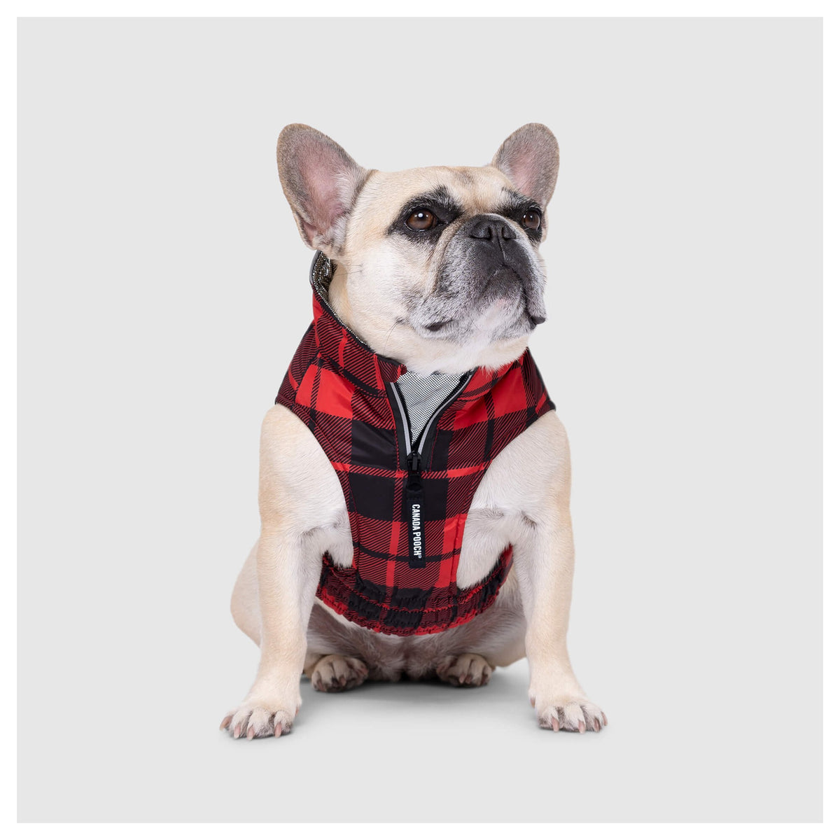 Canada Pooch Expedition Coat 2.0｜狗狗服飾｜加拿大直送-狗-毛孩物語Pets Thing｜香港寵物貓狗用品專門店：IATA寵物飛機籠、寵物手推車、貓爬架貓樹