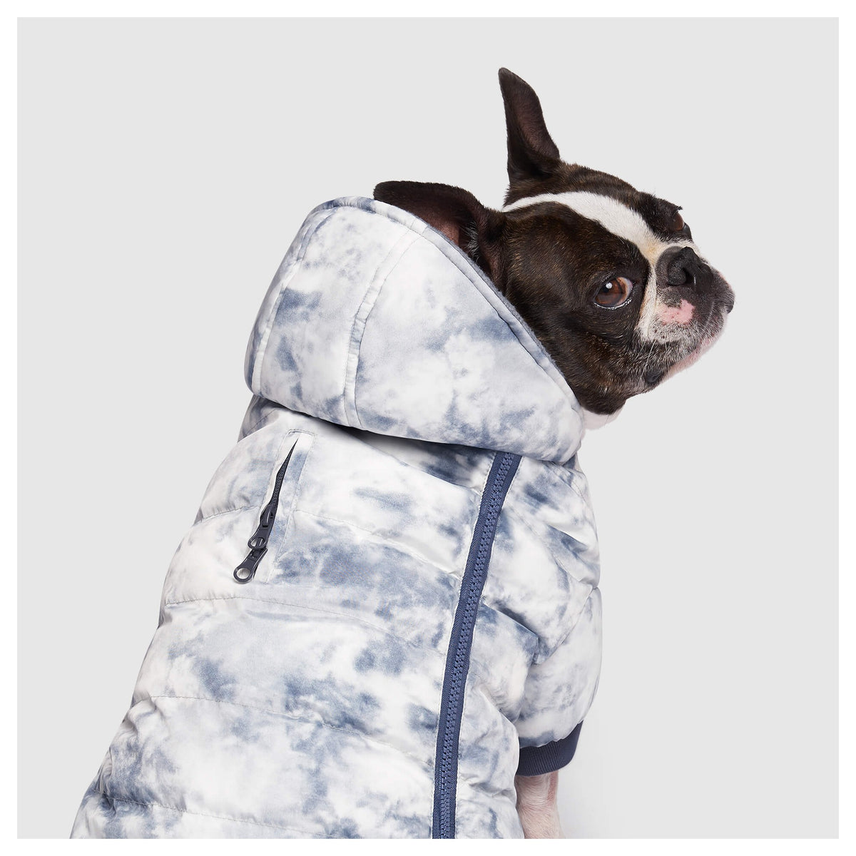Canada Pooch Prism Puffer｜狗狗服飾｜加拿大直送-狗-毛孩物語Pets Thing｜香港寵物貓狗用品專門店：IATA寵物飛機籠、寵物手推車、貓爬架貓樹