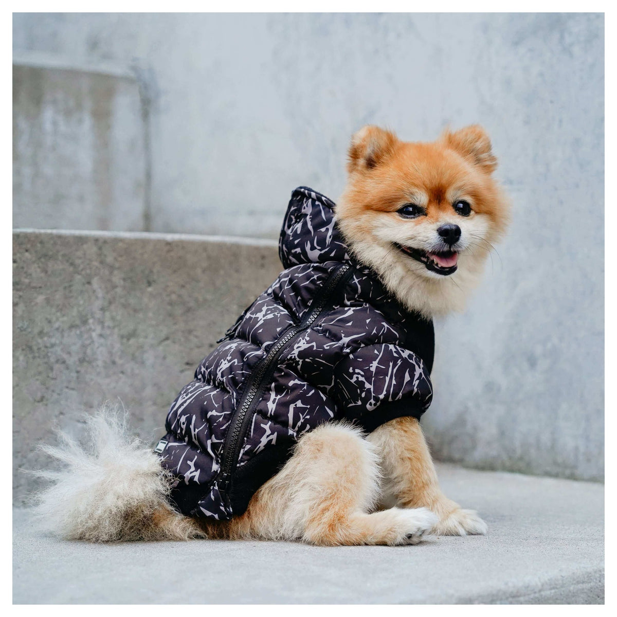 Canada Pooch Prism Puffer｜狗狗服飾｜加拿大直送-狗-毛孩物語Pets Thing｜香港寵物貓狗用品專門店：IATA寵物飛機籠、寵物手推車、貓爬架貓樹
