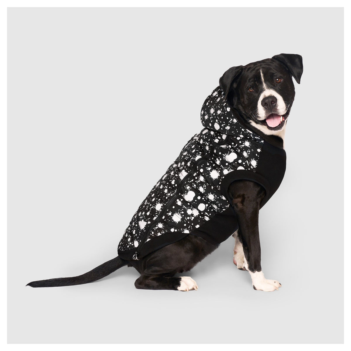 Canada Pooch Prism Puffer｜狗狗服飾｜加拿大直送-狗-毛孩物語Pets Thing｜香港寵物貓狗用品專門店：IATA寵物飛機籠、寵物手推車、貓爬架貓樹