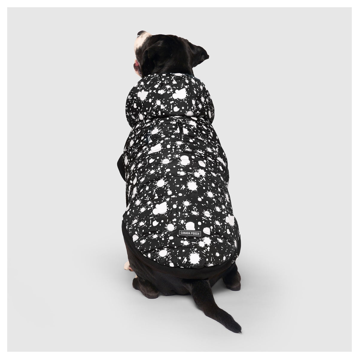 Canada Pooch Prism Puffer｜狗狗服飾｜加拿大直送-狗-毛孩物語Pets Thing｜香港寵物貓狗用品專門店：IATA寵物飛機籠、寵物手推車、貓爬架貓樹