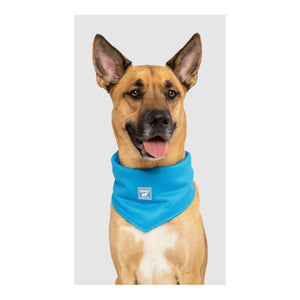 Canada Pooch Cooling Bandana｜狗狗服飾｜加拿大直送-狗-毛孩物語Pets Thing｜香港寵物貓狗用品專門店：IATA寵物飛機籠、寵物手推車、貓爬架貓樹
