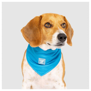 Canada Pooch Cooling Bandana｜狗狗服飾｜加拿大直送-狗-毛孩物語Pets Thing｜香港寵物貓狗用品專門店：IATA寵物飛機籠、寵物手推車、貓爬架貓樹