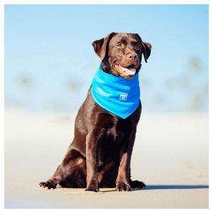 Canada Pooch Cooling Bandana｜狗狗服飾｜加拿大直送-狗-毛孩物語Pets Thing｜香港寵物貓狗用品專門店：IATA寵物飛機籠、寵物手推車、貓爬架貓樹