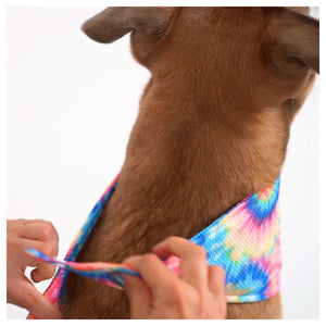 Canada Pooch Cooling Bandana｜狗狗服飾｜加拿大直送-狗-毛孩物語Pets Thing｜香港寵物貓狗用品專門店：IATA寵物飛機籠、寵物手推車、貓爬架貓樹