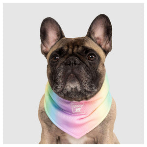 Canada Pooch Cooling Bandana｜狗狗服飾｜加拿大直送-狗-毛孩物語Pets Thing｜香港寵物貓狗用品專門店：IATA寵物飛機籠、寵物手推車、貓爬架貓樹